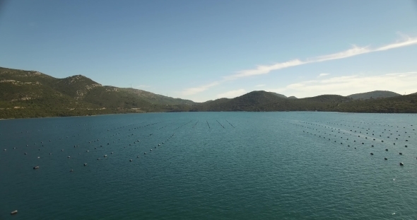 Aerial View Of Mussel Farm In Croatia