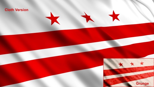 Washington Dc Flags