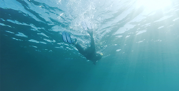 Snorkeling In Ocean