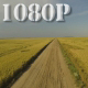 Flying over Country Road and Wheat Field - VideoHive Item for Sale