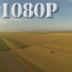 Flying over Field 2 - VideoHive Item for Sale