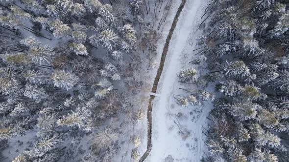 Top Down View Over Snowy River in Winter Forest