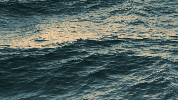 Sea