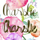 Charslie - GraphicRiver Item for Sale