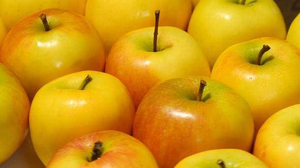 Yellow Apples Rotating