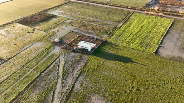 Farm House Background Texture 4 K Aerial View