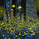Fireflies Nature Orchestra