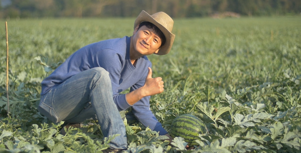 Farmers Take Care Melon