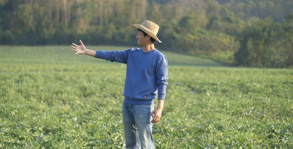 Asian Farmer Showing His Melon Field