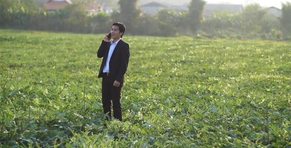 Business Man Talking On Mobile Phone In Field