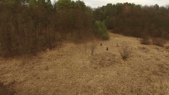 Terrorists With Weapons Trying To Cross The Border