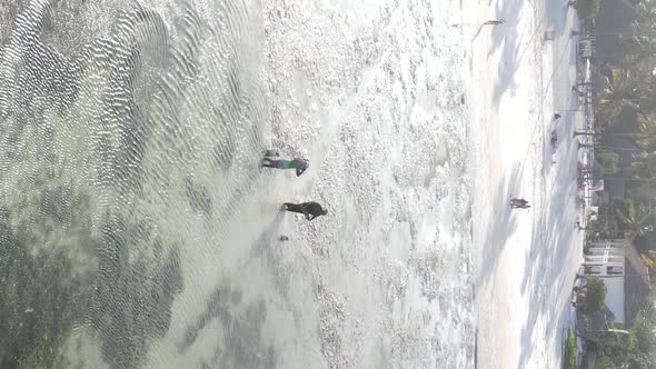 Vertical Video of a Coastal Landscape in Zanzibar Tanzania Aerial View