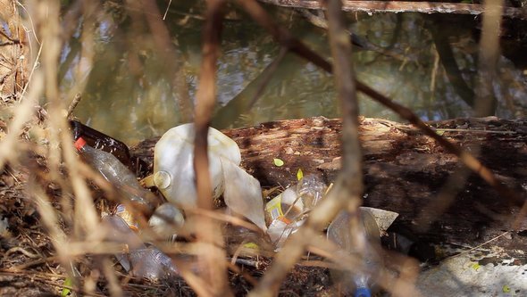 Litter In Water