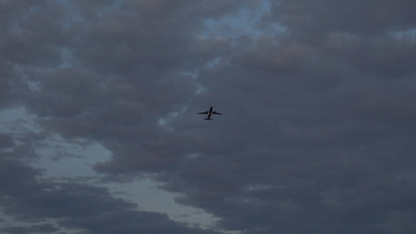 Plane In Sky Evening