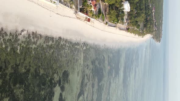 Vertical Video of the Coast of Zanzibar Island Tanzania Slow Motion