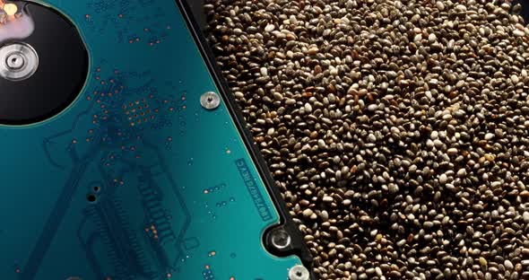 A Blue Hard Drive and a Pile of Chia Seeds Lie on a Surface with Natural Light