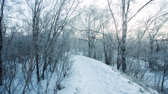 Alley In Snowy Morning