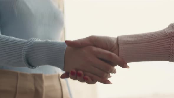 Handshake Of Two Women
