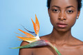 Woman holding bird of paradise flower - PhotoDune Item for Sale