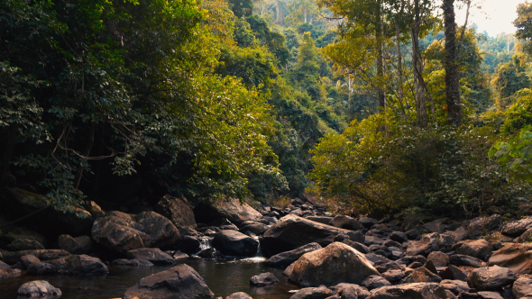 Waterfall In Forest