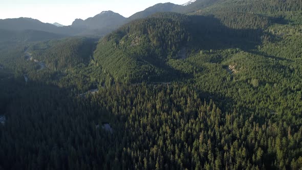 Summer Forest Aerial Over Mountains Near Whistler Canada