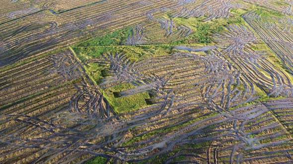 Aerial view the trace of harvester