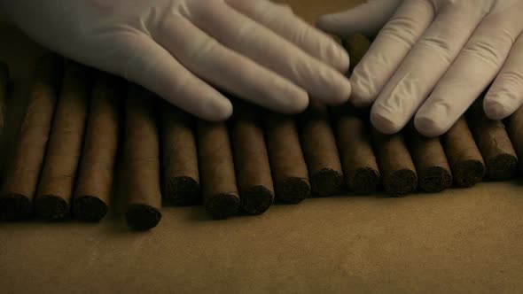 Cigars Sorted And Spread Out At Factory