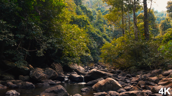 Waterfall Flowing In Forest