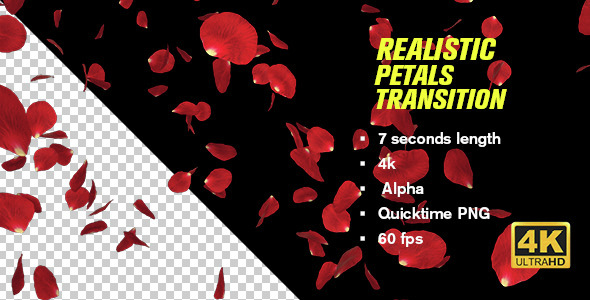 Realistic Petals Transition alt