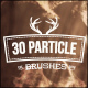 30 Particle Brushes - GraphicRiver Item for Sale