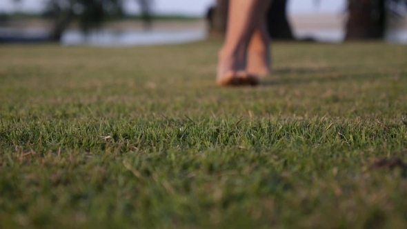 Woman Feet Walking On Fresh Green Grass