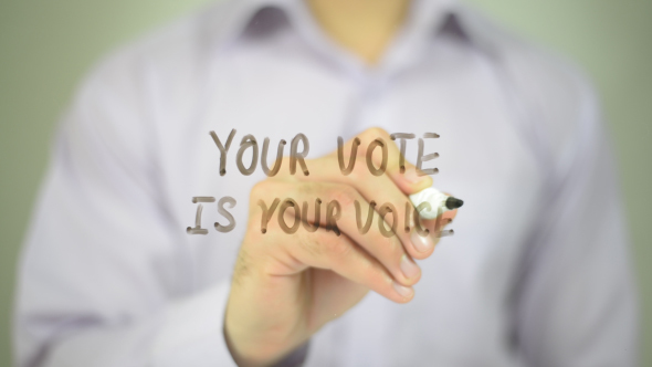 Your Vote is Your Voice