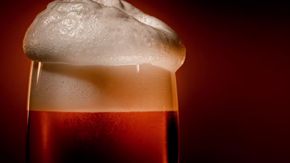 Lager Beer Settles in the Glass with a White Cap of Foam