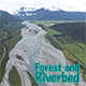 Forest and Riverbed - VideoHive Item for Sale