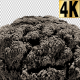 Huge Smoke Explosion Revealer with Alpha (4K) - VideoHive Item for Sale