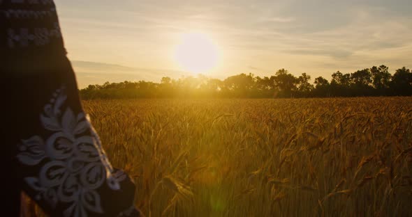 Woman walking through wheat summer field