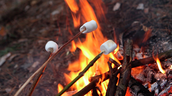 Marshmallow On a Campfire