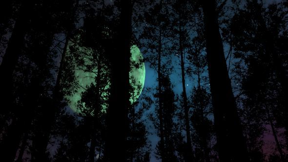 Slow Camera Drive Through Forest at Night with Big Moon and Magic Stars