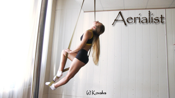 Aerial Gymnast Workout