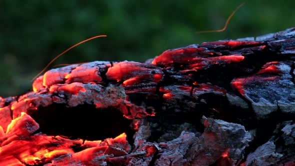 Beautiful Log Smoldering In Fire.