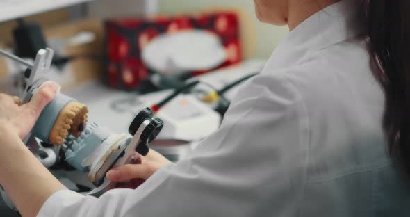 Dental Technician Makes a Plaster Cast of Jaw Models in an Articulator