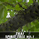 Thai Spirit Tree No.1 - VideoHive Item for Sale