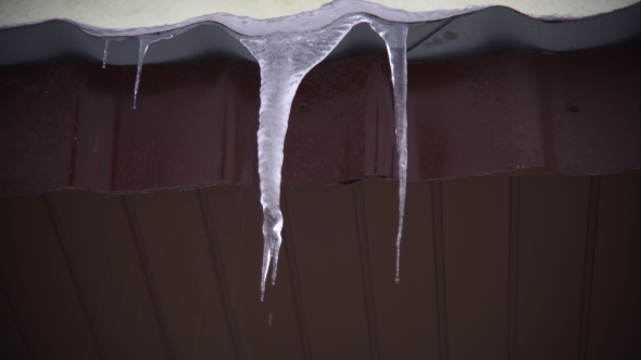 Spring Icicle, Water Drips Down