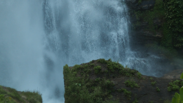 Water In Forest