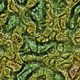 Alien Organic Texture - 3DOcean Item for Sale