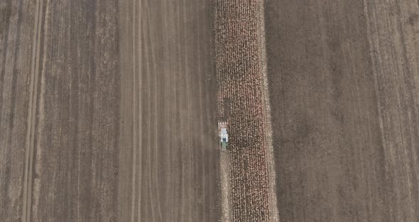 Aerial View Of Combine Harvester Working On Corn Fields - drone, top down