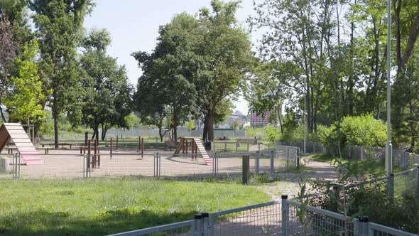 A Dog Playground in a Park on a Sunny Day