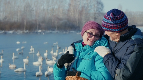 Elderly Couple Embracing In The Background Of The Lake With Swans