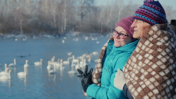 Elderly Couple Embracing In The Background Of The Lake With Swans