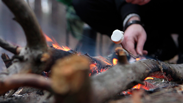 Marshmallow On a Campfire